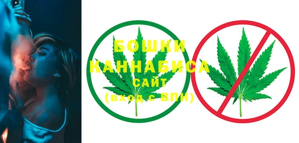 стаф Богданович