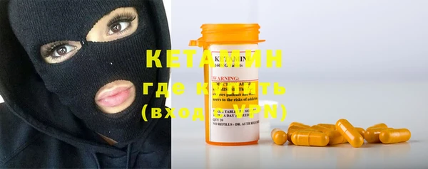стаф Богданович