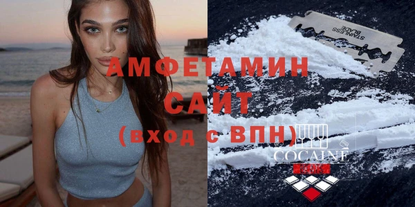 стаф Богданович