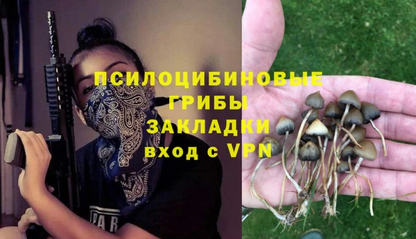 соль ск Балабаново