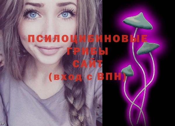 стаф Богданович