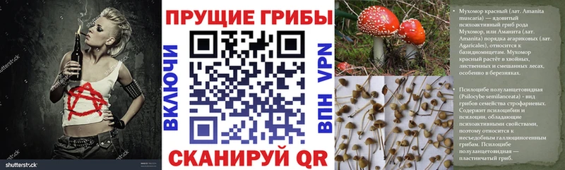даркнет сайт  Буй  Псилоцибиновые грибы MAGIC MUSHROOMS 